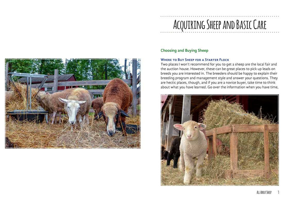 Good Living Guide to Keeping Sheep and Other Fiber Animals by Janet Garman