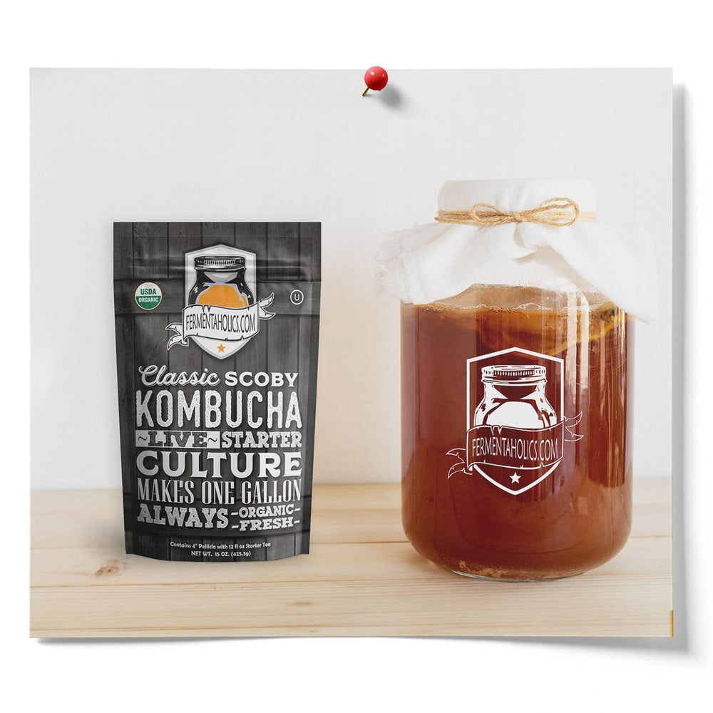 Classic Kombucha Scoby