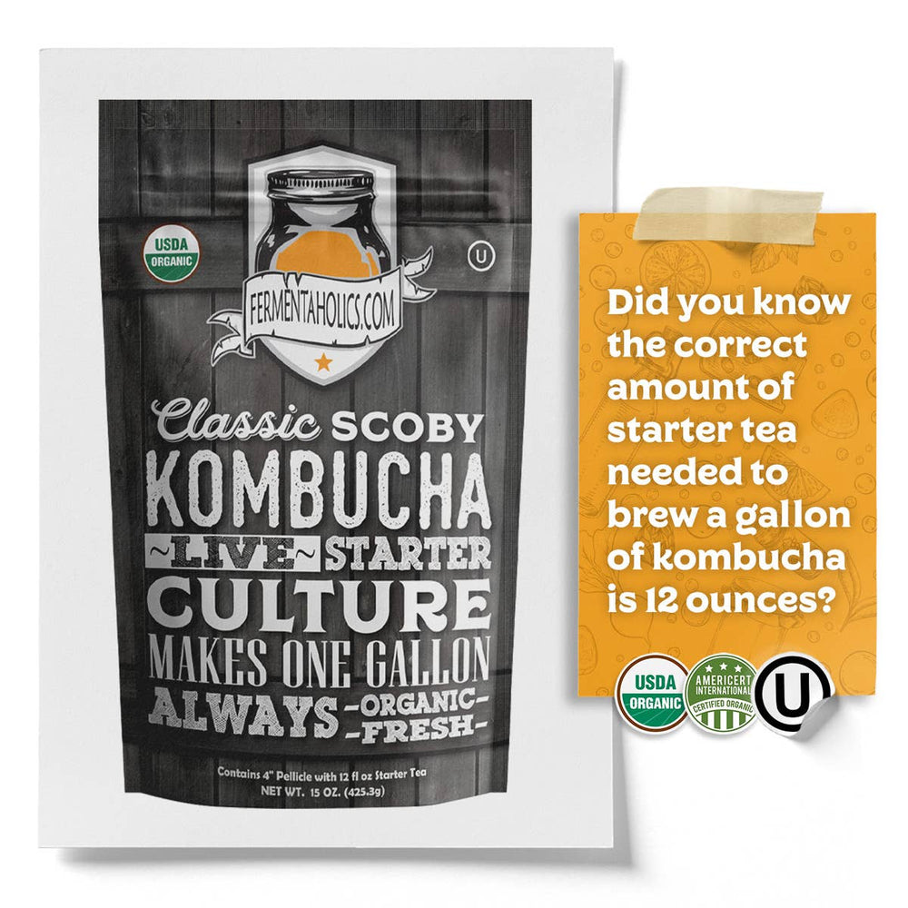 Classic Kombucha Scoby