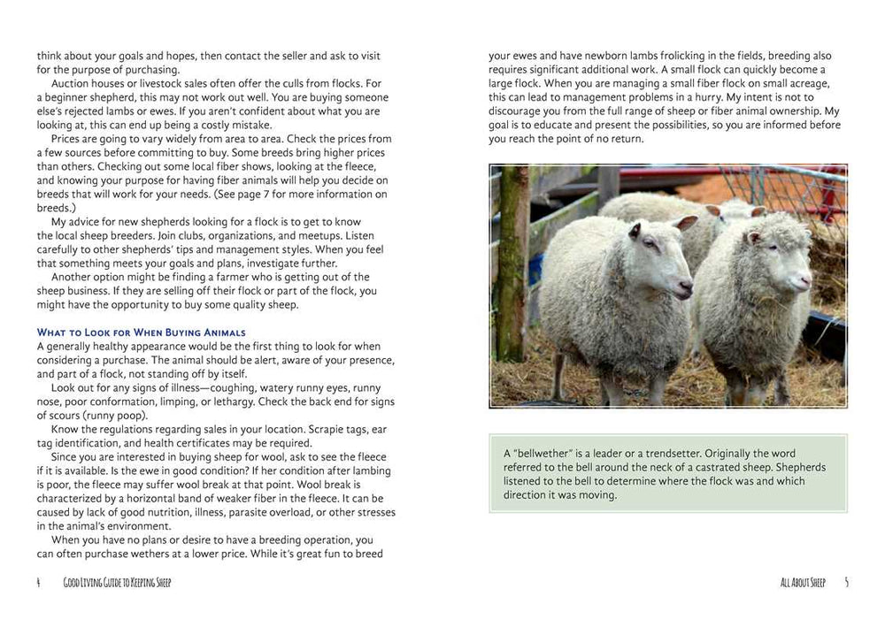 Good Living Guide to Keeping Sheep and Other Fiber Animals by Janet Garman