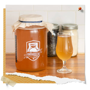 Classic Kombucha Scoby