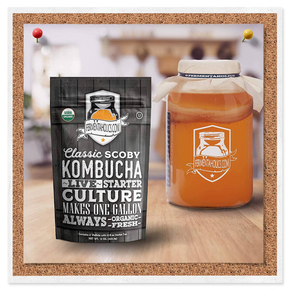 Classic Kombucha Scoby