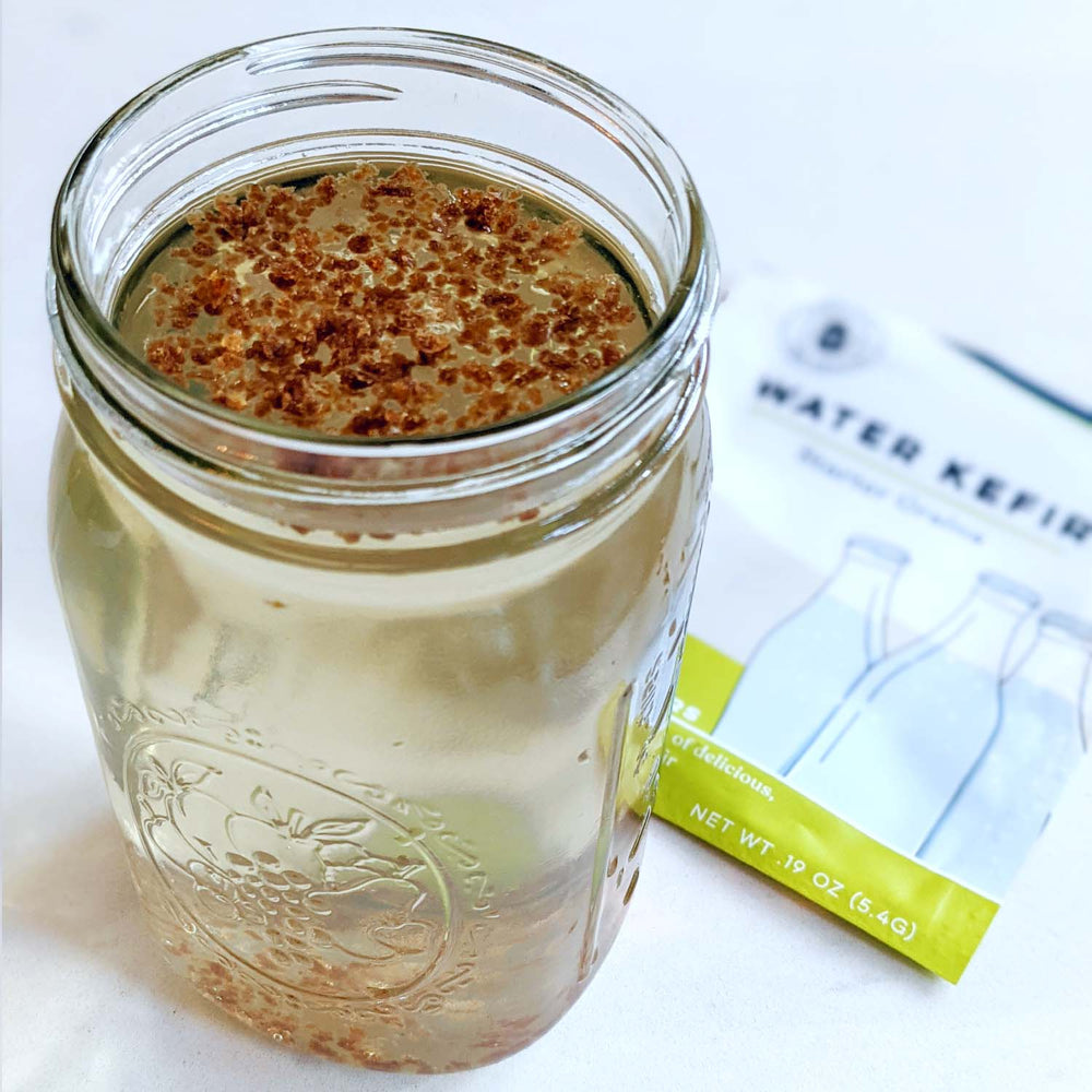 Water Kefir Grains