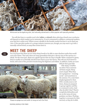 Raising Animals for Fiber - Guide to Producing Wool